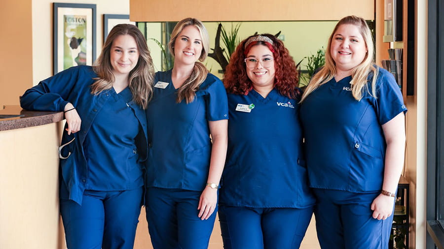 VCA Four Seasons associates