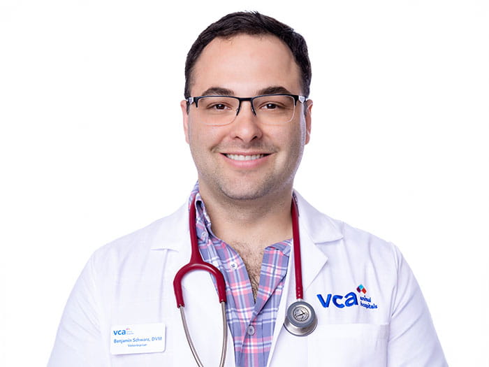 Dr. Ben Schwarz Staff Photo