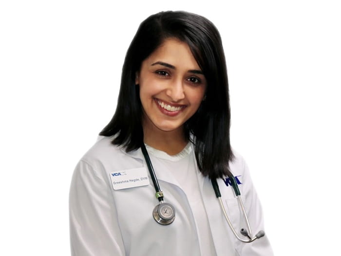 Dr. Greeshma Hedge Staff Photo