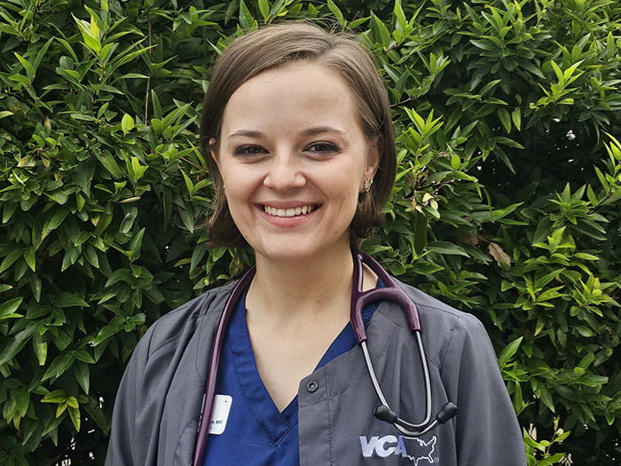 Stephanie Staff Photo