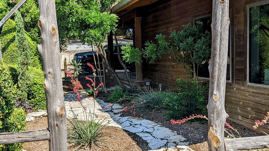 VCA Northwest Hills - Garden and Plants