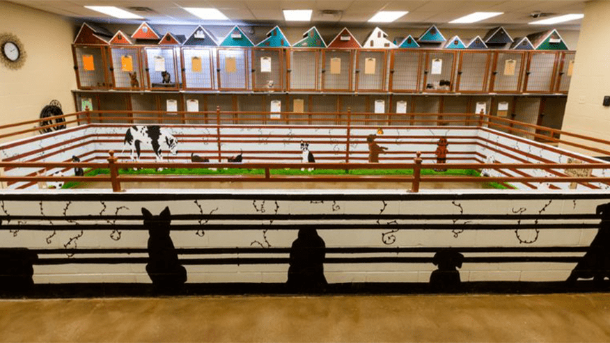 876x493 premier Services ClimateControlledBoarding