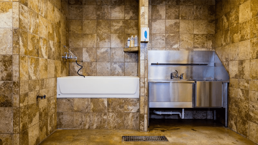 876x493 premier Services PetBathing