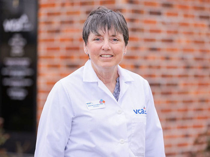 Dr. Robin McConaughey Staff Photo