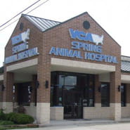 /-/media/2/vca/images/hospitals/united-states/texas/spring/galleries/185x185_map_spring.jpg?rev=78e80d136c4c48df999fddf82dbec447