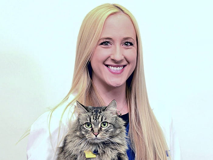 Dr. Stephanie Cardillo Staff Photo