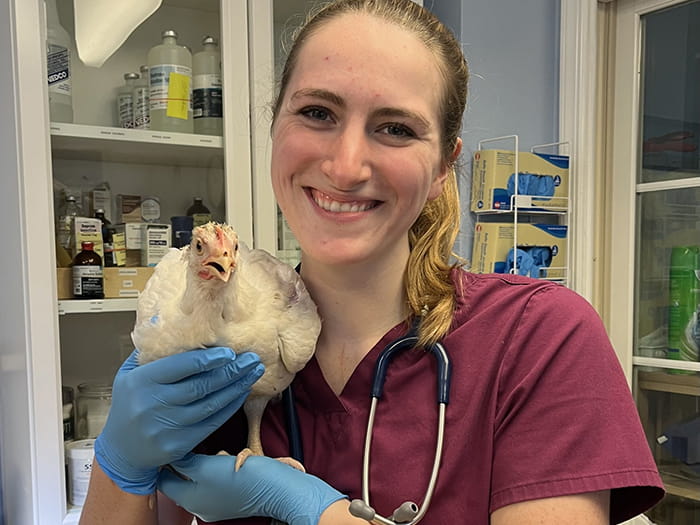 Dr. Dana Perry Staff Photo