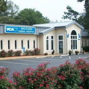 /-/media/2/vca/images/hospitals/united-states/virginia/boulevard/galleries/185x185_map_boulevard.jpg?rev=c7e679e9d7094294a0e582d827b89f1a