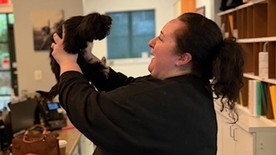 VCA Centreville veterinary staff holding a dog
