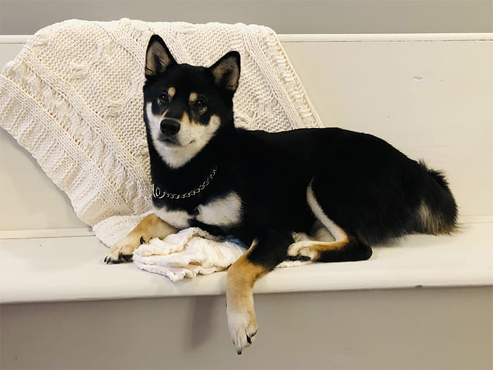 Tony Bickett Staff Photo