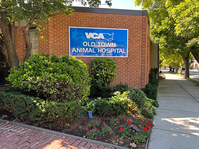 /-/media/2/vca/images/hospitals/united-states/virginia/old-town/galleries/700x525_old-town_hospital.jpg?rev=36154d41c8384a8ba201f922aba3e824