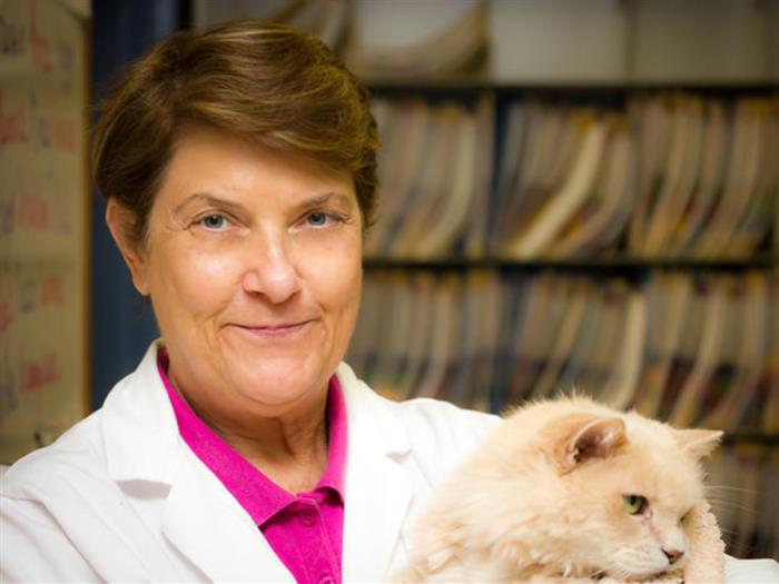 Dr. Nancy Sitarz-Spalding Staff Photo