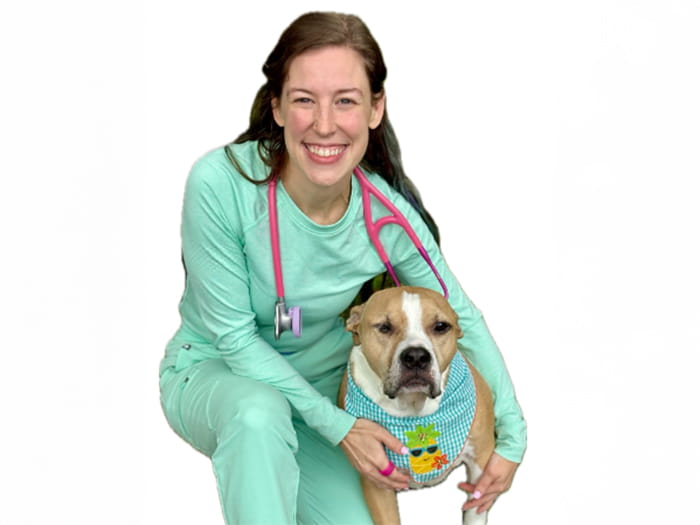 Dr. Alexandra Meyer Staff Photo