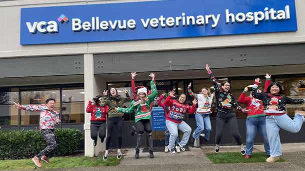 VCA Bellevue Team Photo