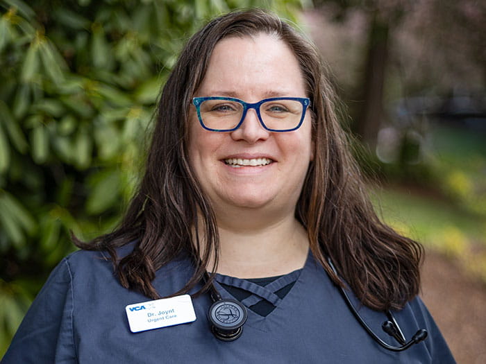 Dr. Amy Joynt Staff Photo