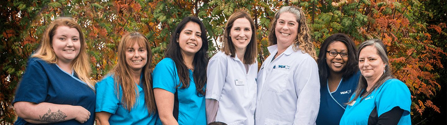 /-/media/2/vca/images/hospitals/united-states/washington/lacey/staff/1440x405_lacey_team1.png?rev=12c80d89e2ea40db84cb3eb098dd8de7