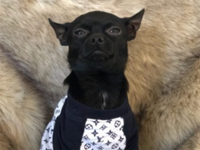 Stephanie Staff Photo