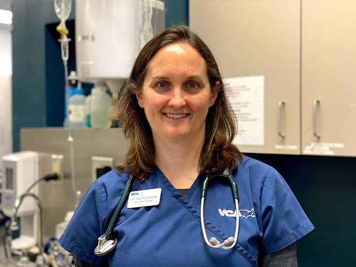 Rachel Hawley Staff Photo