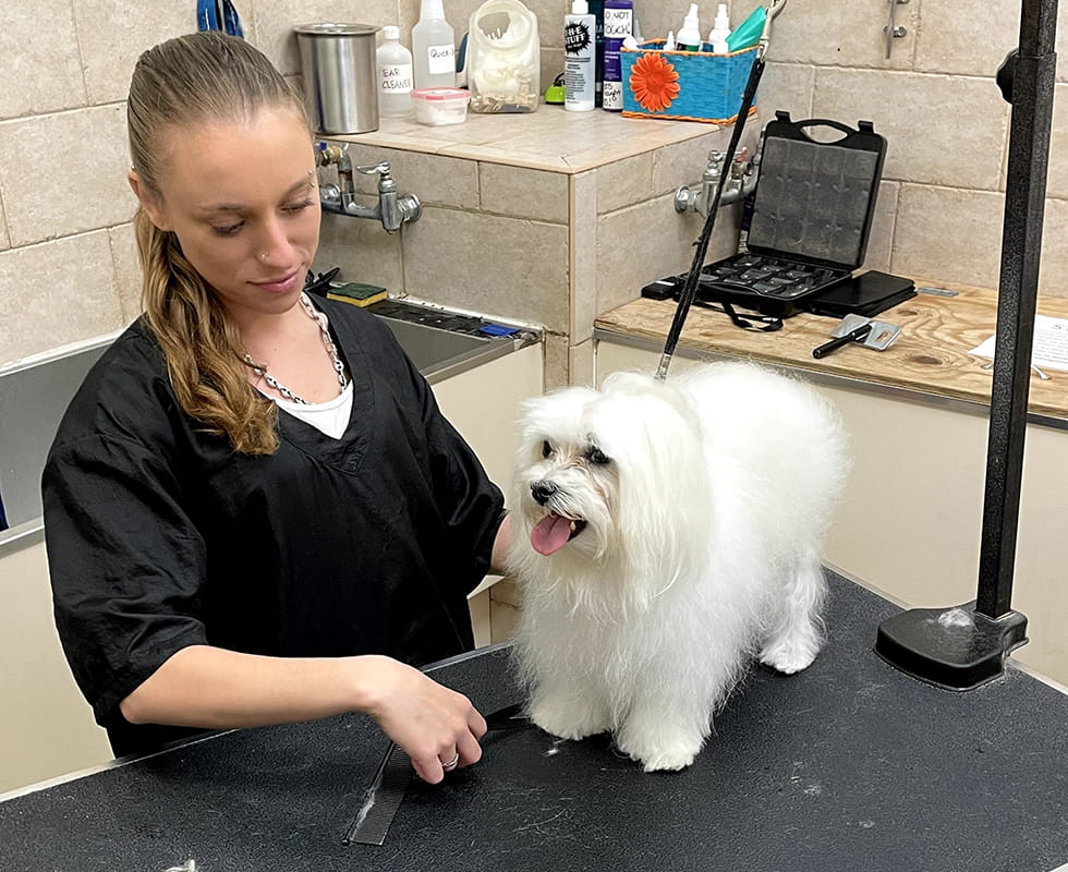 Barkers Hotel Homepage 50-50-2