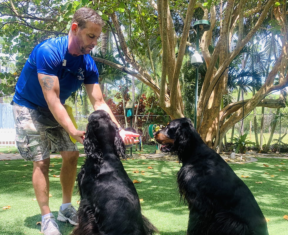 Barkers Hotel Homepage 50-50-4