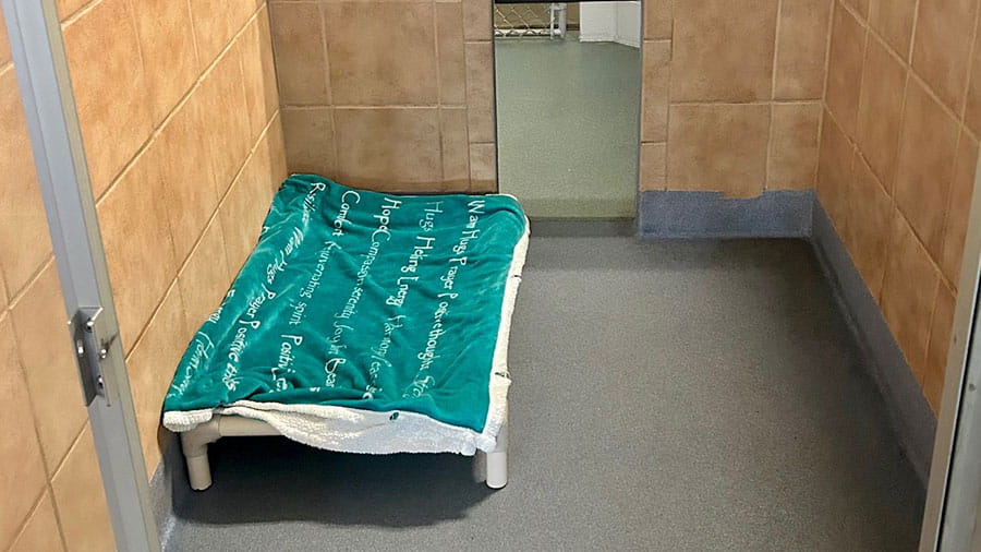 VCA Mountainview Pet Lodge Dog Boarding Suite