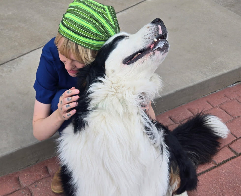 Happy Dog Getting Love from Associate at VCA Mountainview Pet Lodge