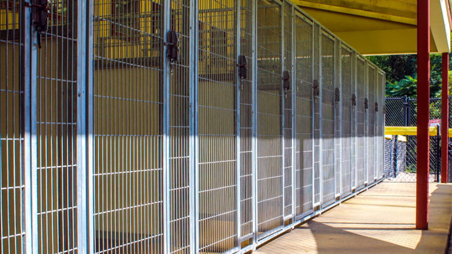 VCA Plymouth Pet Resort outdoor dog kennel