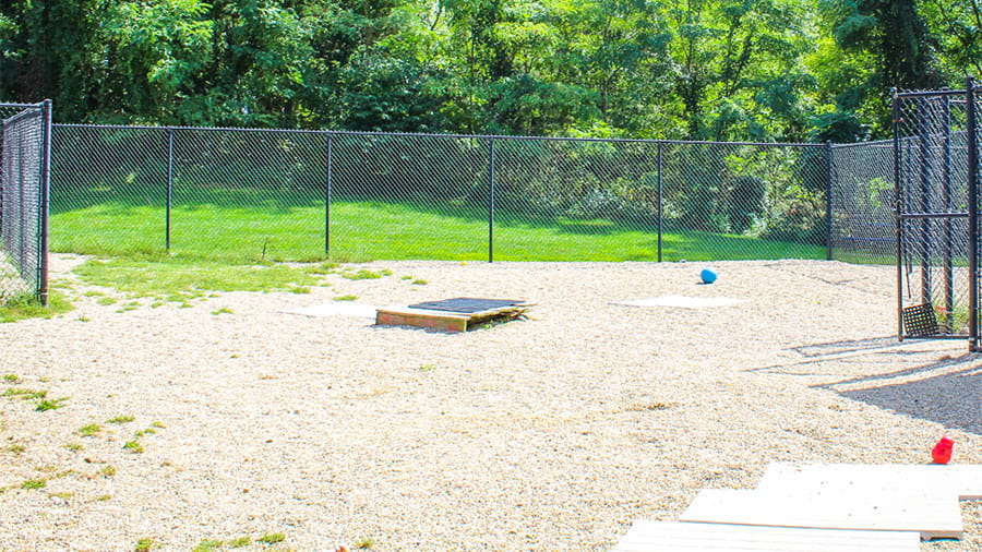 VCA Plymouth Pet Resort outdoor dog play area
