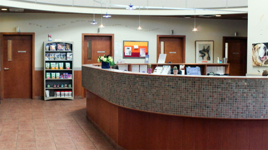 VCA Plymouth Pet Resort reception area