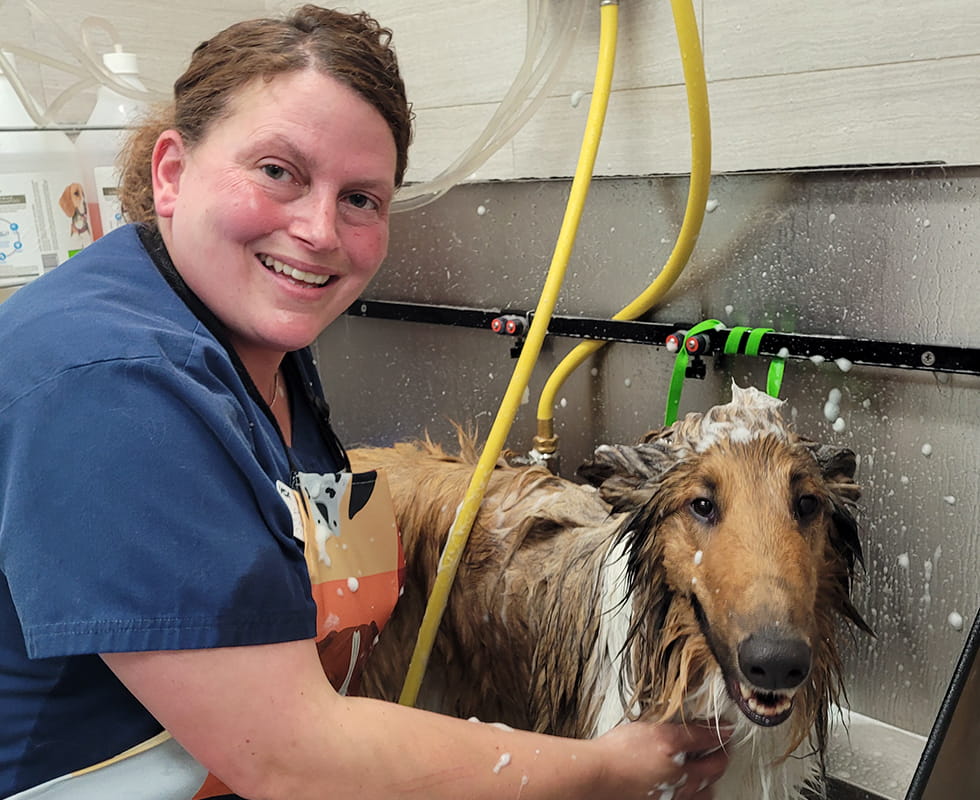 Stoney Creek Resort Grooming 50-50