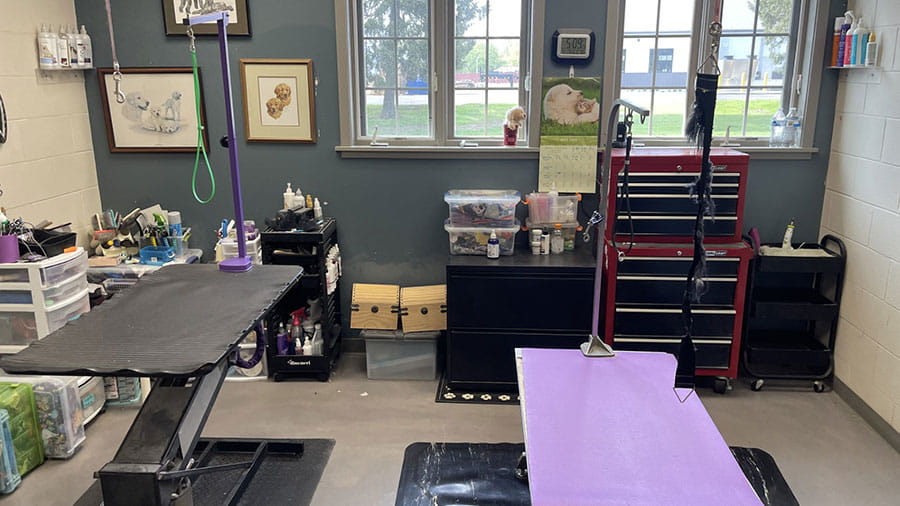 VCA SylvaniaVET Boarding and Grooming - Grooming Area