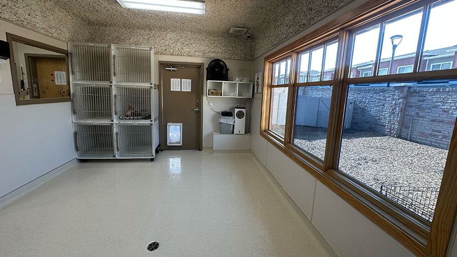 VCA Timpanogos Animal Hospital Resort Indoor Area
