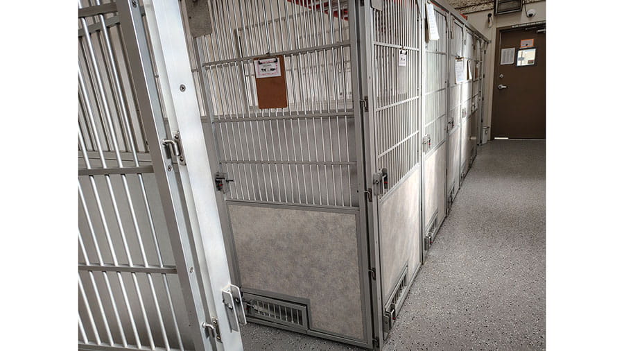 VCA Timpanogos Animal Hospital Resort Dog Kennel