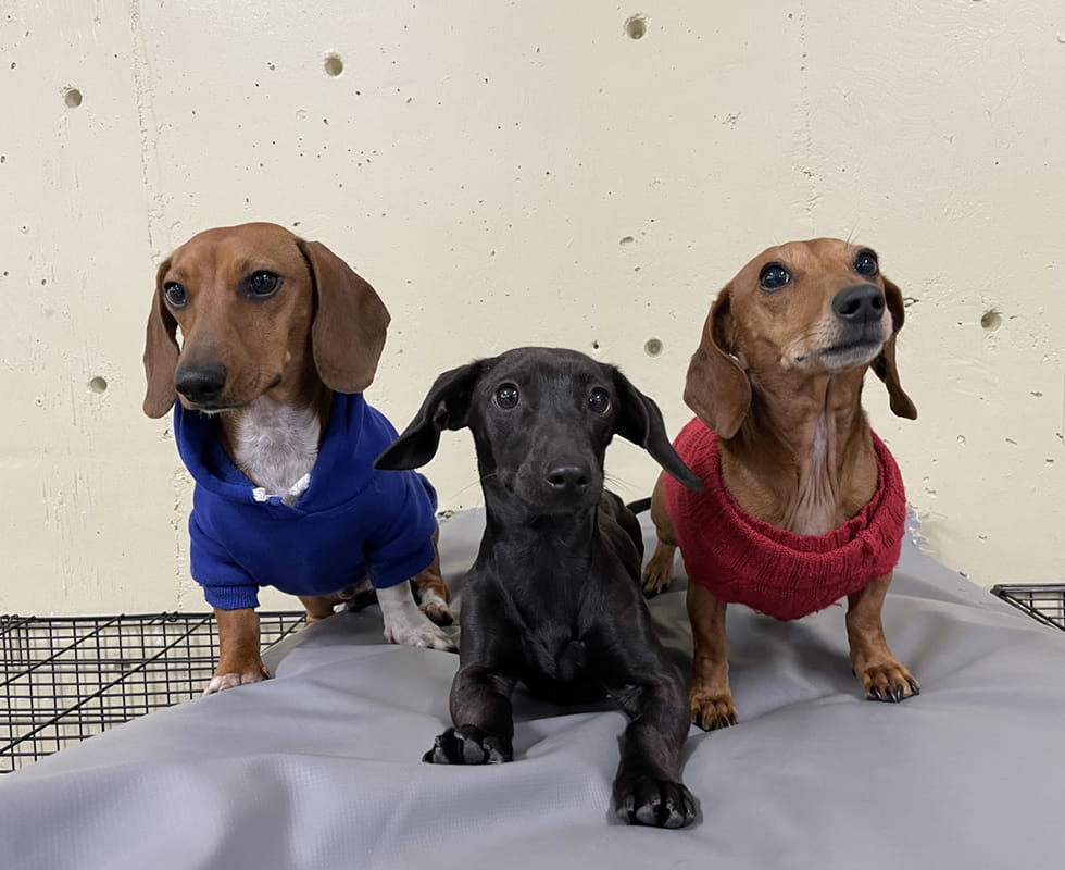 Willow Creek Resort Day Care 50-50 Photo