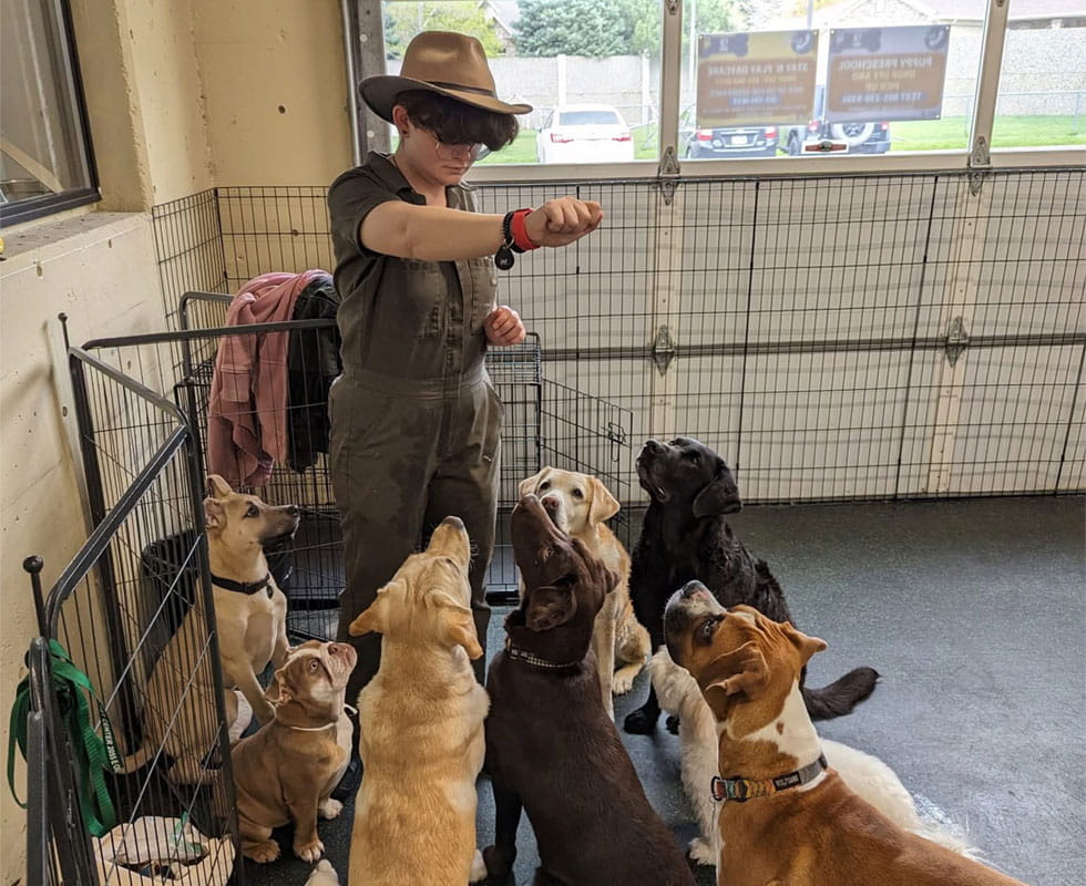 VCA Willow Creek Pet Center Positive Training Methods