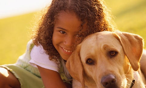 Veterinary Rehabilitation Medicine