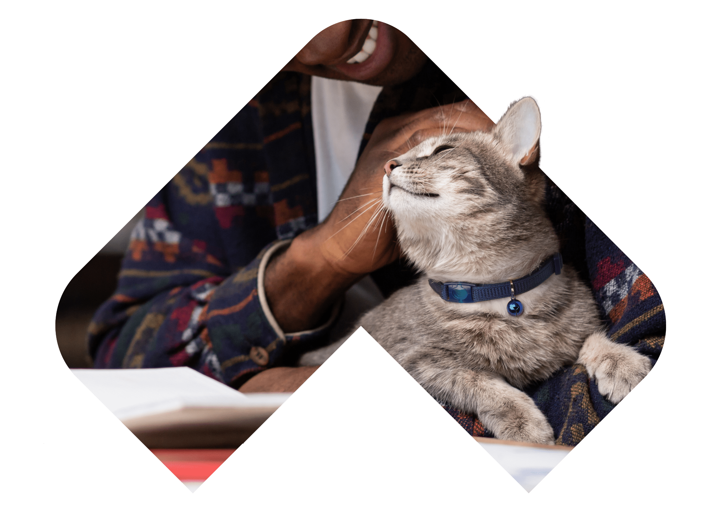 VC4848 cat caret img