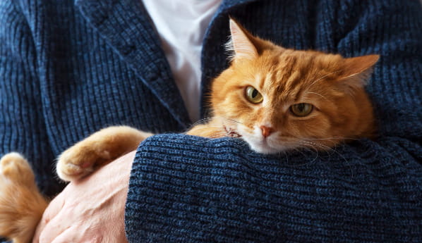 Woman holding an orange tabby cat