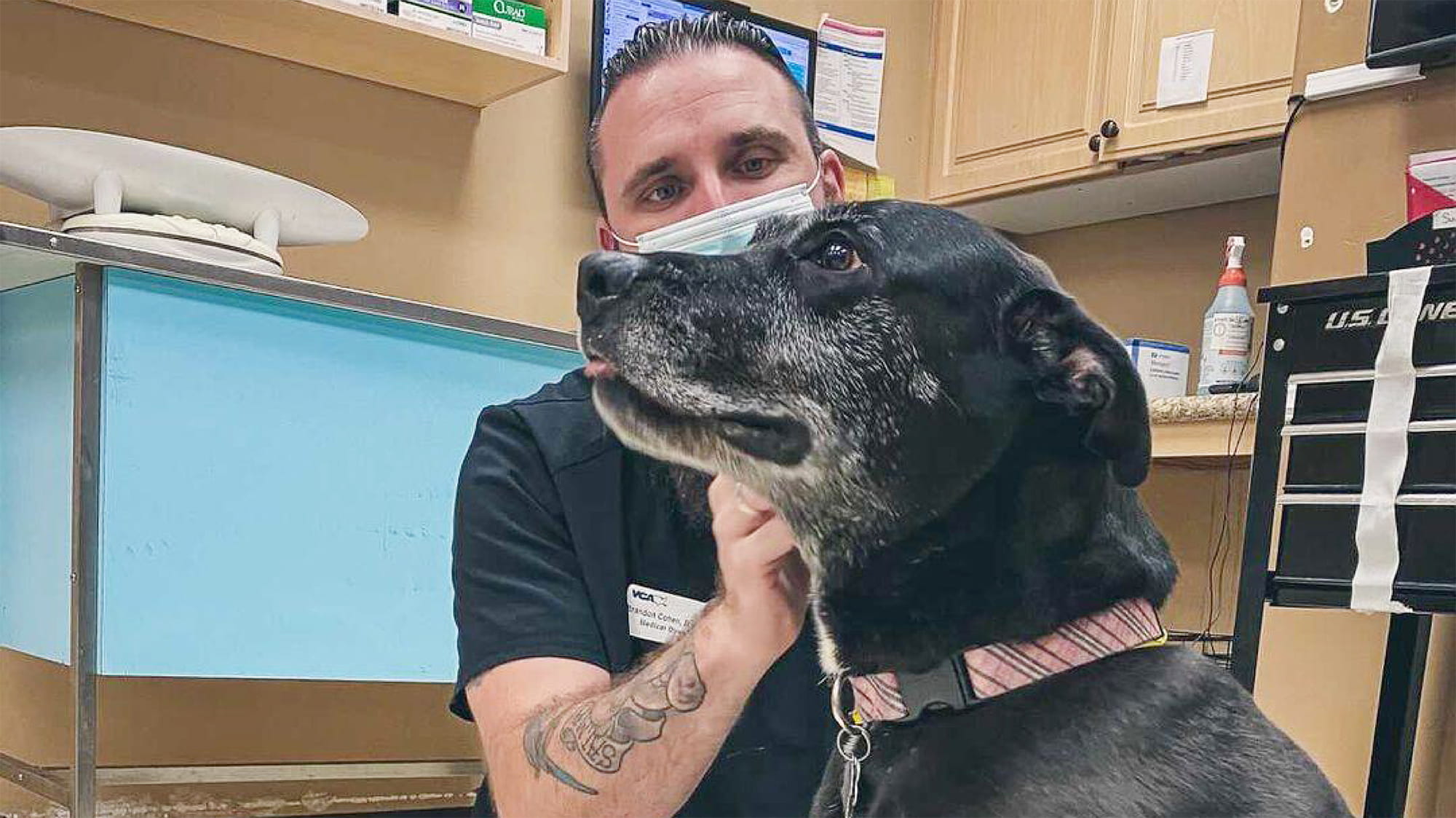 Dr. Cohen with Canine Patient