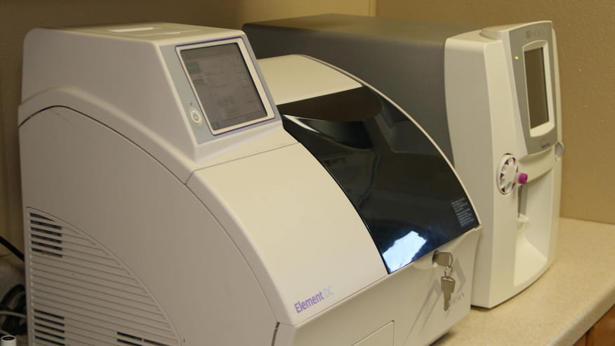 876x493 algeirs InHouseLab