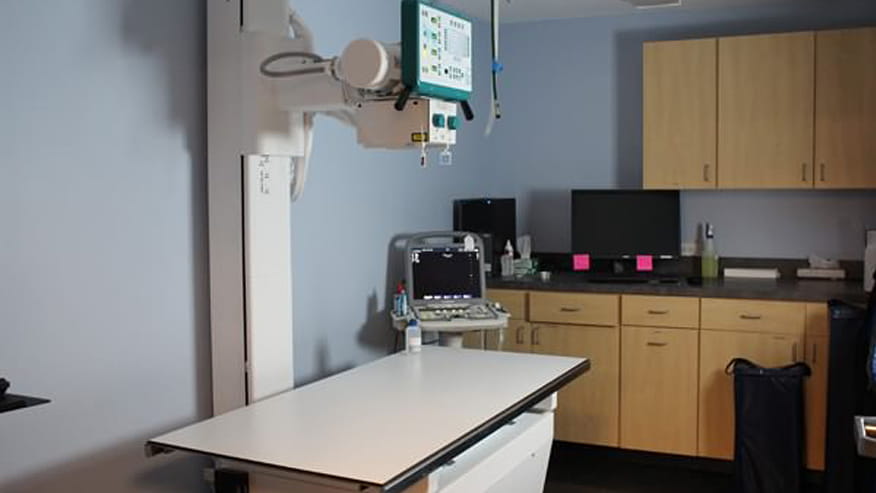 VCA Animal Care Center Chicago Radiology