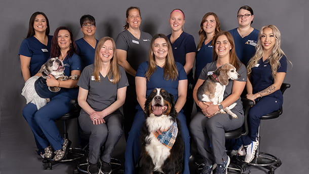 VCA ARECA Internal Medicine Department