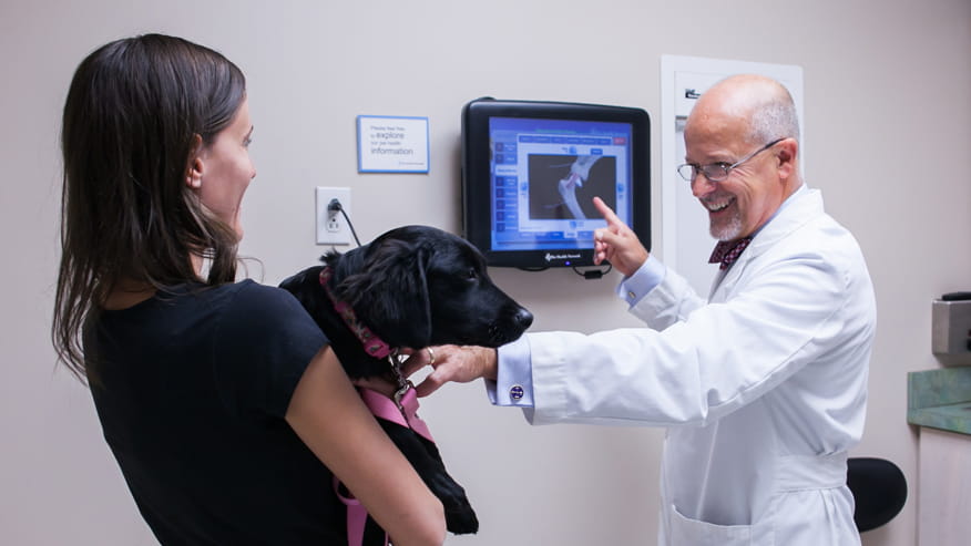 woman with dog and doctor
