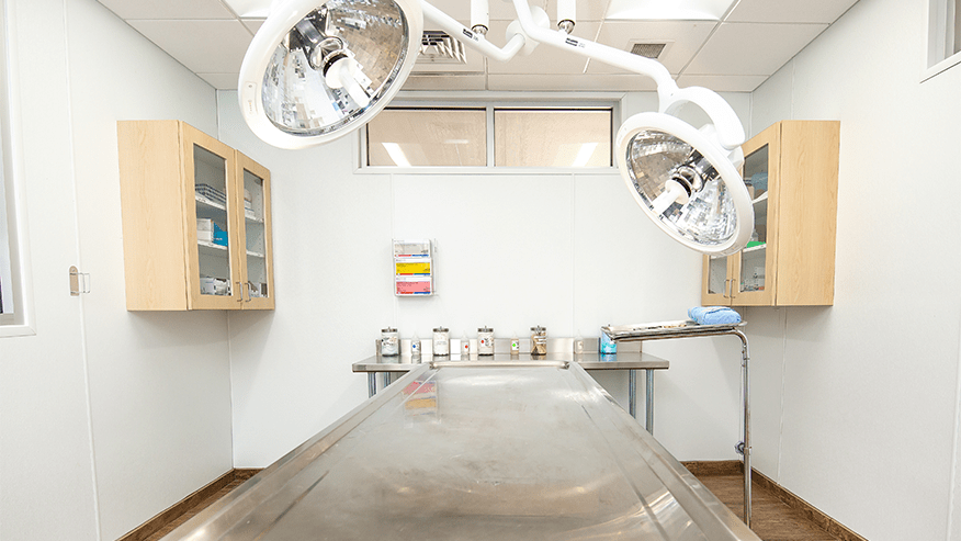 876x493 becker tx PrimaryCare SpaysNeuters