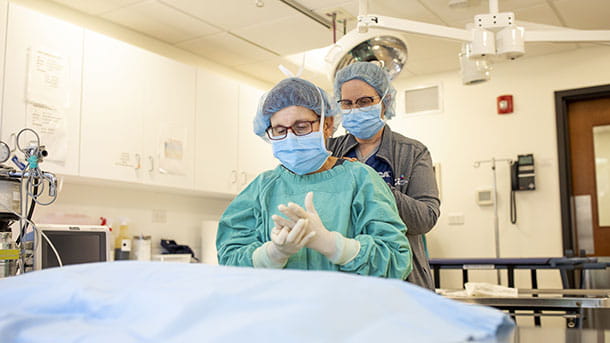 Doctor Performing Surgery at VCA Cairo Animal Hospital