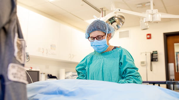 Dr. Levy in surgery VCA Cairo Animal Hospital