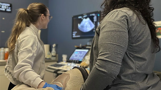 Radiologists doing an ultrasound on a dog