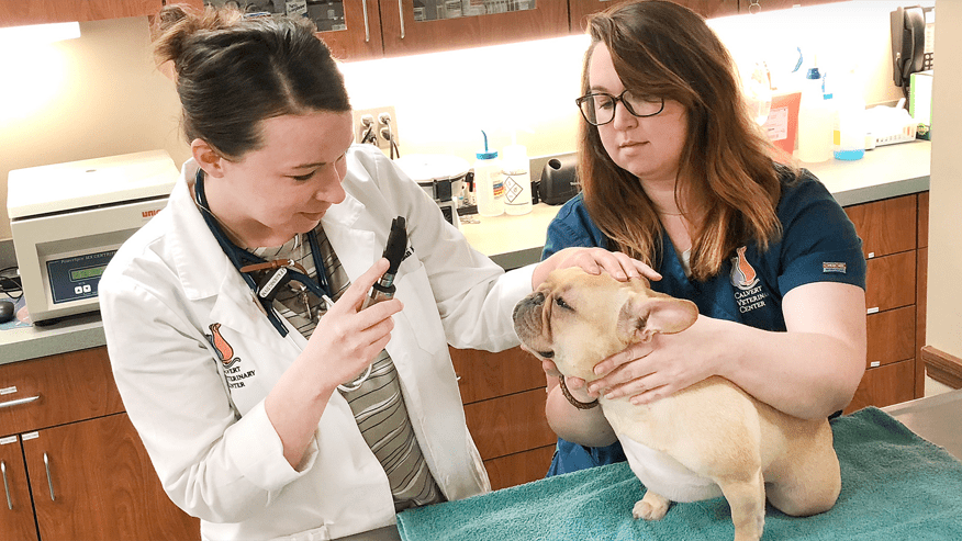 876x493 calvert preventivecare