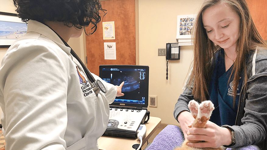 876x493 calvert ultrasound