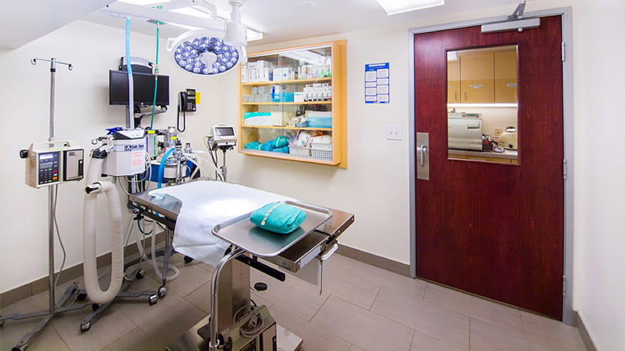 VCA Cat Hospital of Philadelphia Surgical Suite